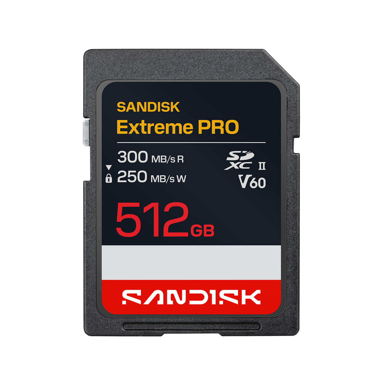 SanDisk SD Card